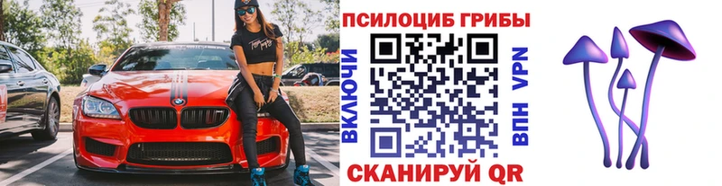 Псилоцибиновые грибы Psilocybine cubensis Макарьев